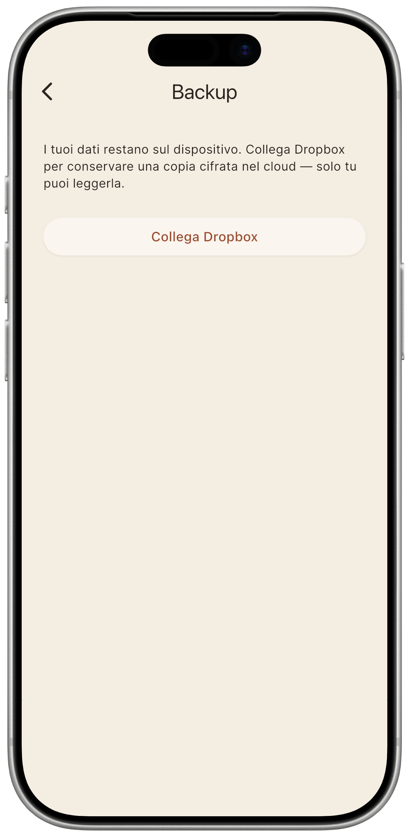 Schermata backup prima della connessione: pulsante di connessione Dropbox.